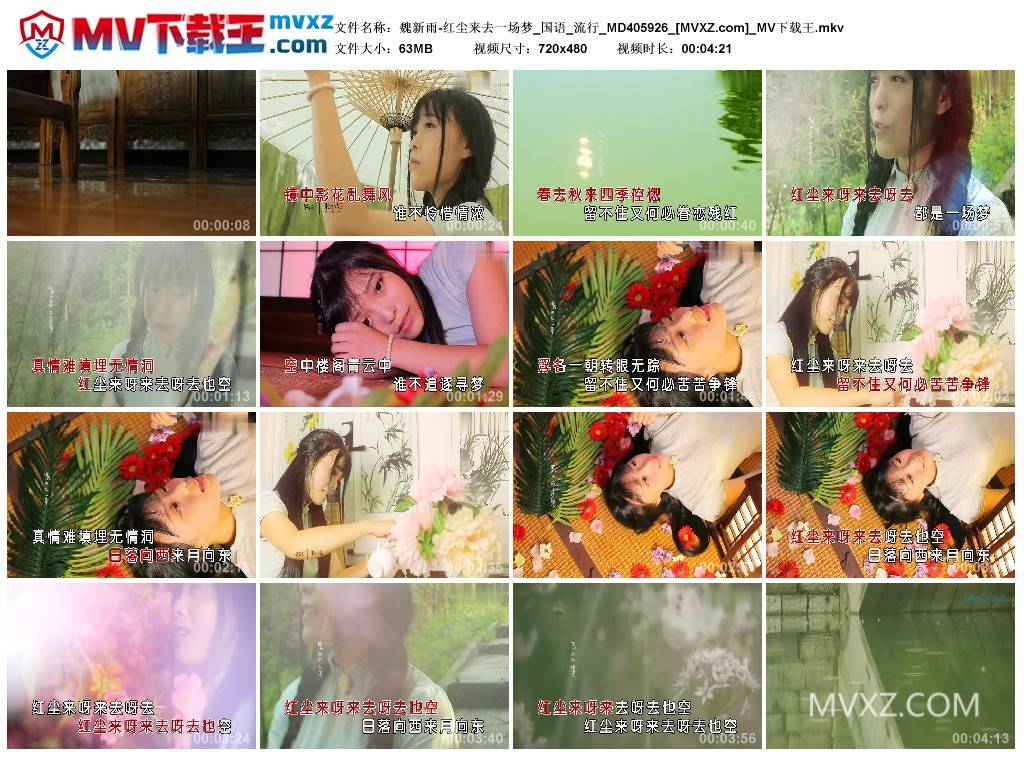 魏新雨-红尘来去一场梦_国语_流行_MD405926